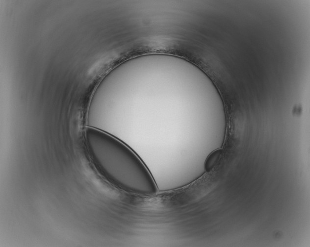 X0000114020740200910021016