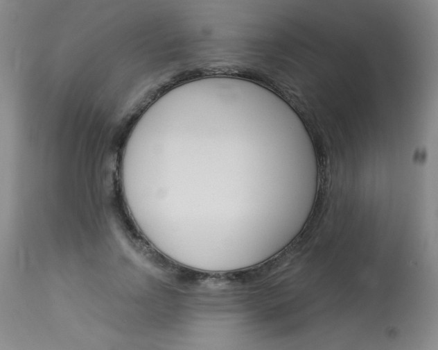 X0000114020742200910021016