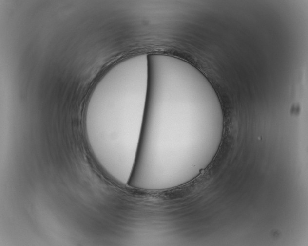 X0000114020743200910021016