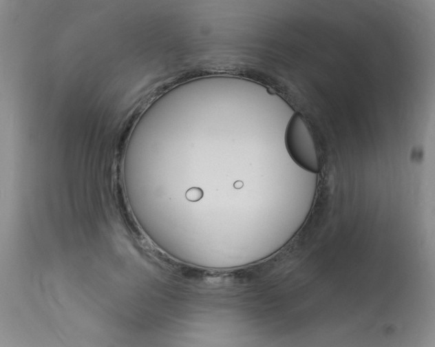 X0000114020744200910021016