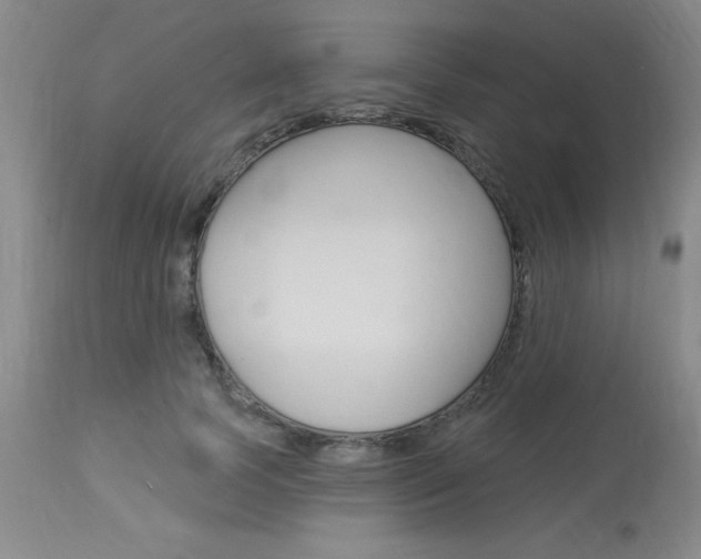 X0000114020745200910021016
