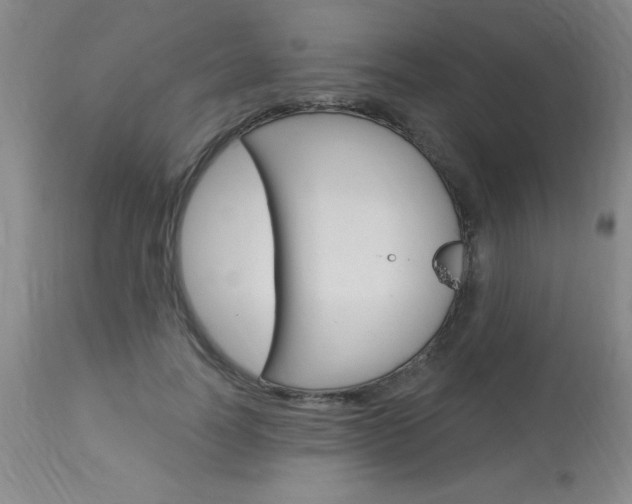 X0000114020746200910021016