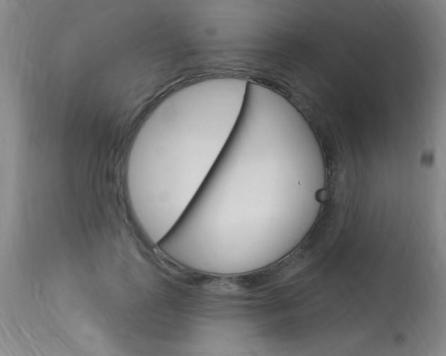 X0000114020747200910021016