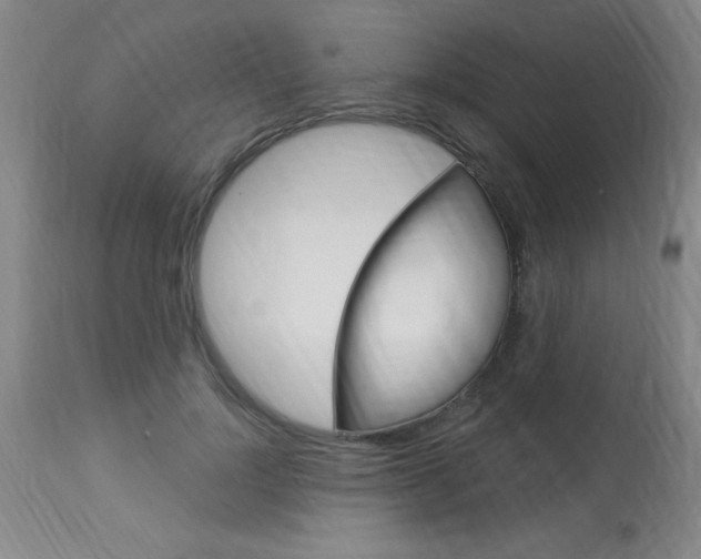 X0000114020748200910021016