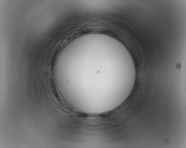 X0000114020752200910021016