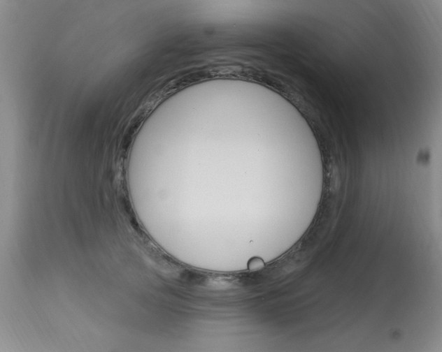 X0000114020753200910021016