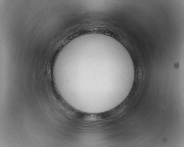 X0000114020754200910021016