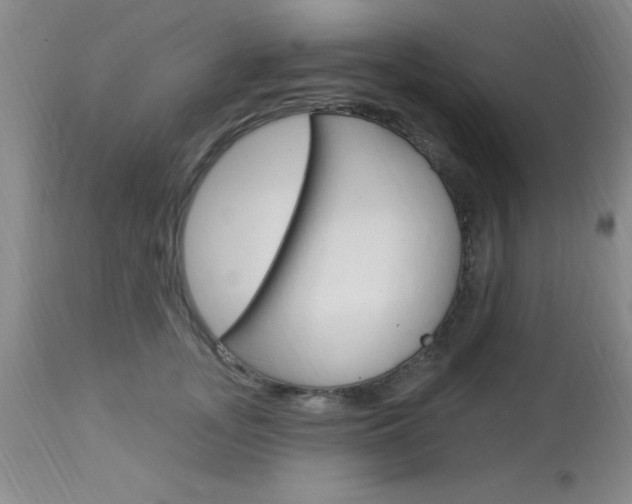 X0000114020755200910021016