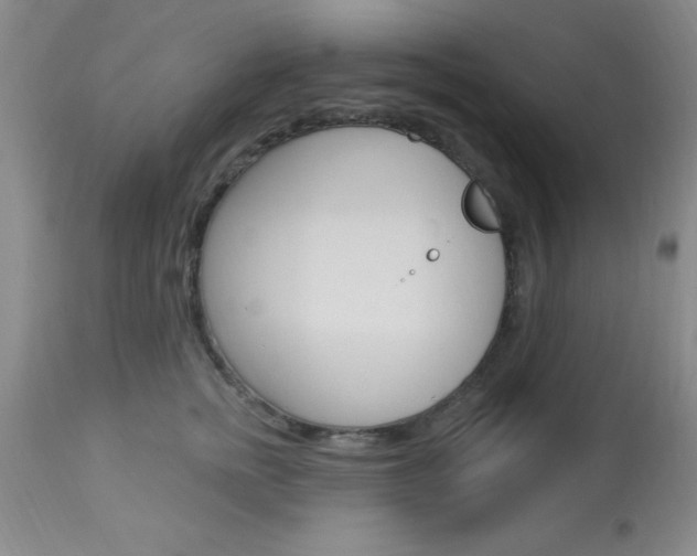 X0000114020758200910021016