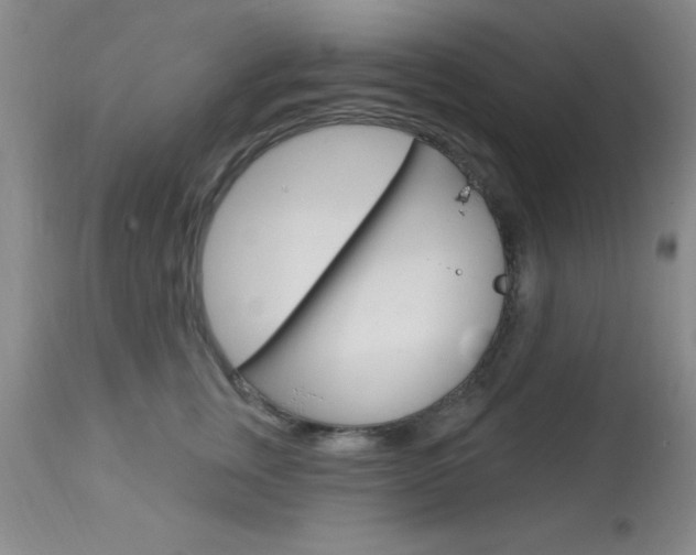 X0000114020759200910021016