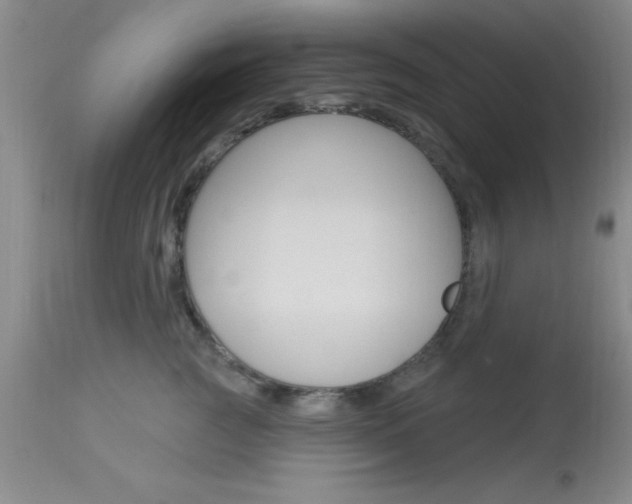 X0000114020761200910021016