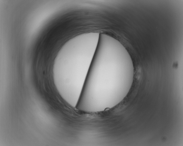 X0000114020763200910021016
