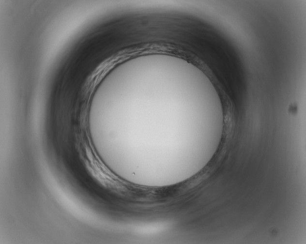 X0000114020765200910021016