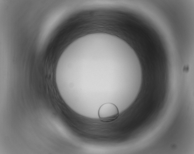X0000114020766200910021016