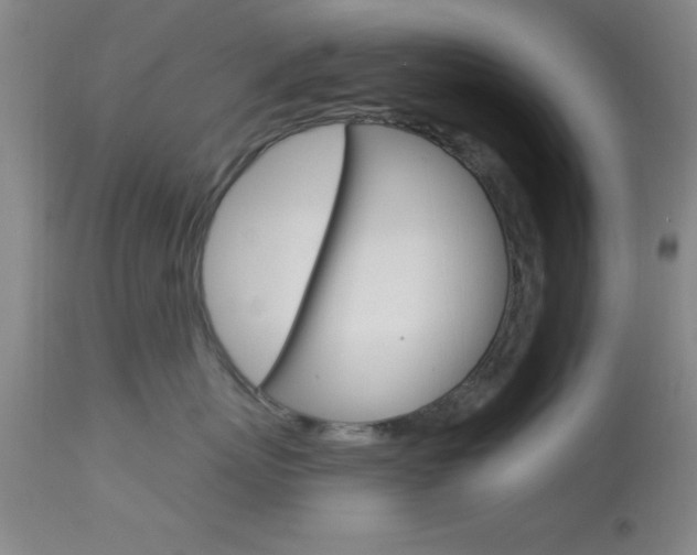 X0000114020767200910021016