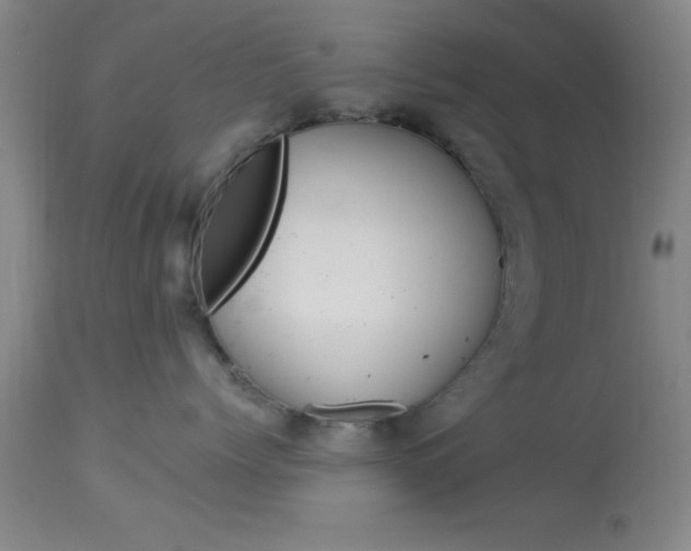 X0000114020768200910021016