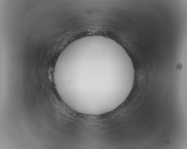 X0000114020770200910021015