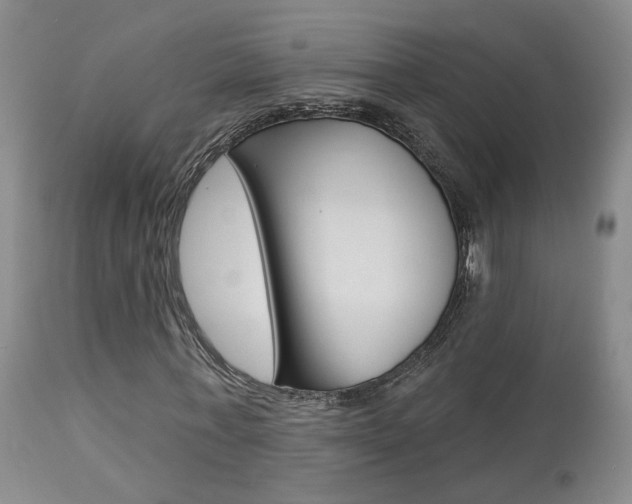 X0000114020771200910021015