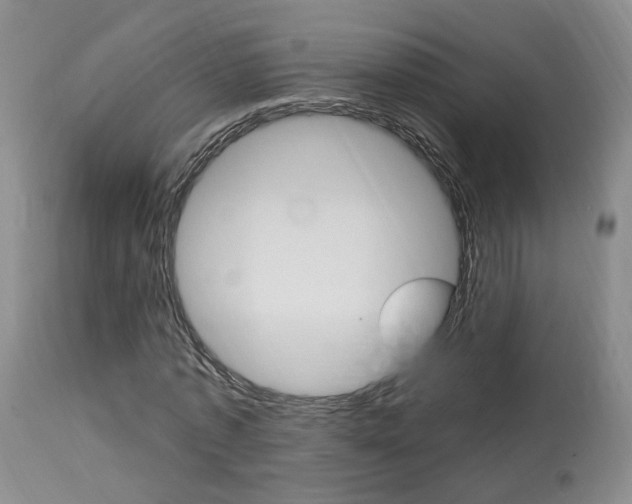 X0000114020773200910021015