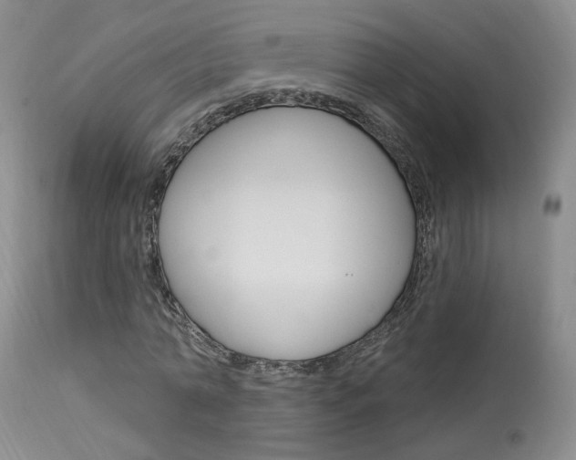 X0000114020774200910021015
