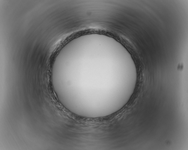 X0000114020776200910021015