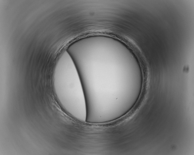 X0000114020777200910021015