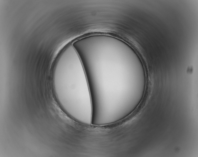 X0000114020779200910021015