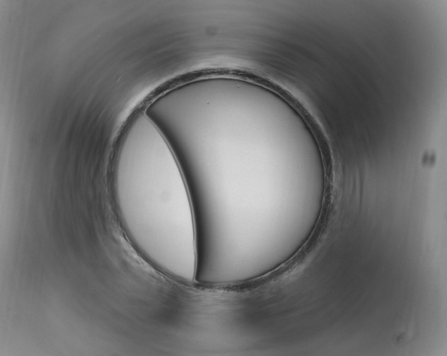 X0000114020783200910021015