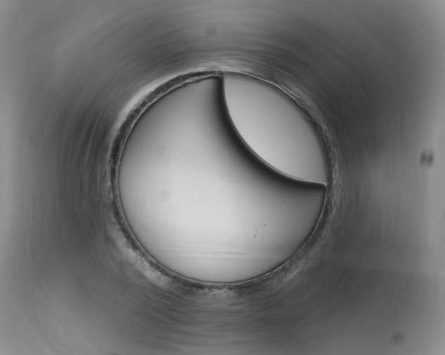X0000114020784200910021015