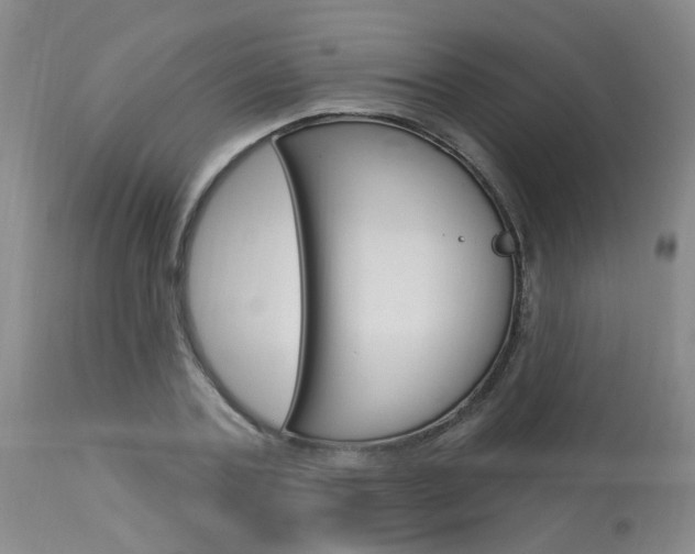 X0000114020787200910021015