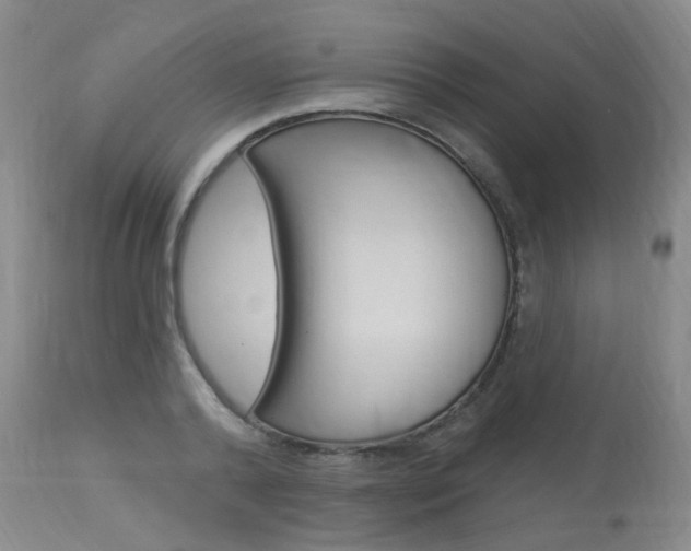 X0000114020792200910021015