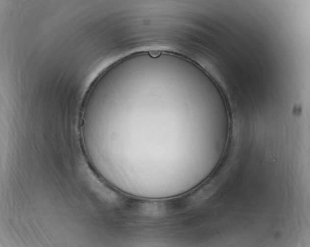 X0000114020797200910021015