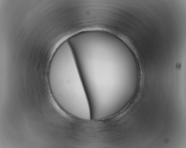 X0000114020805200910021015