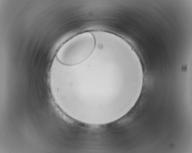 X0000114020807200910021015