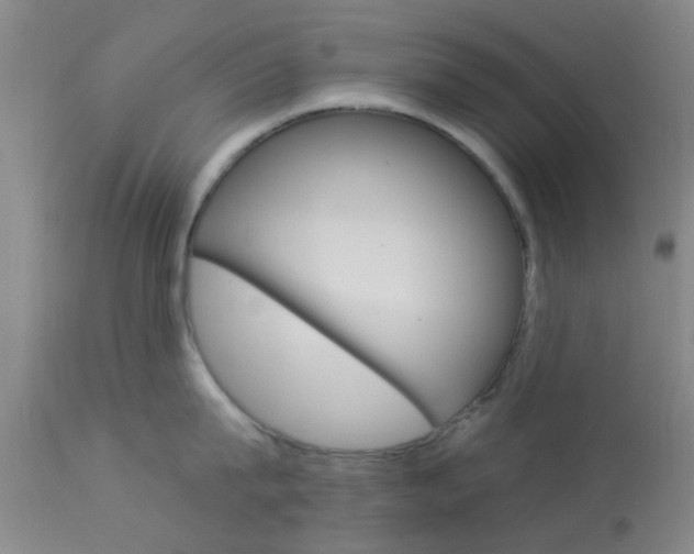 X0000114020815200910021015