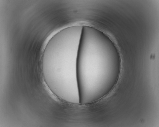 X0000114020816200910021015
