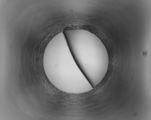 X0000114020818200910021014