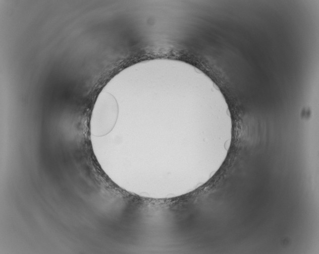 X0000114020820200910021014