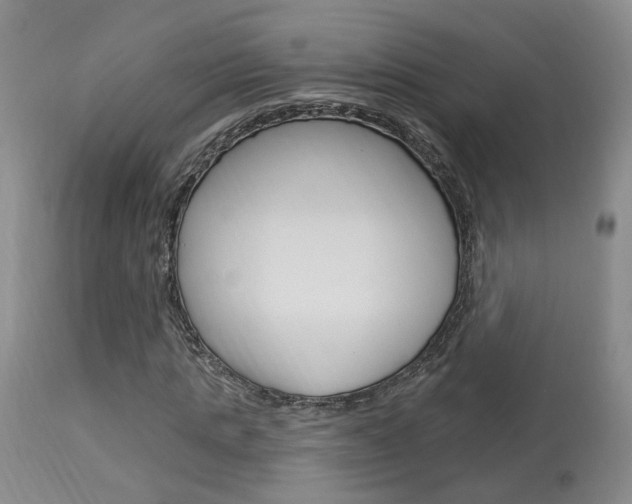 X0000114020821200910021014