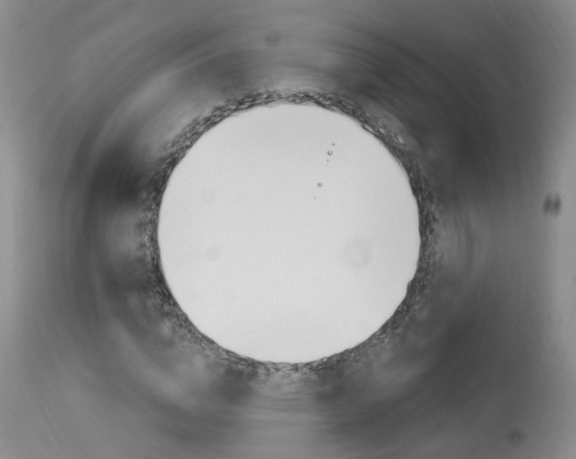 X0000114020824200910021014