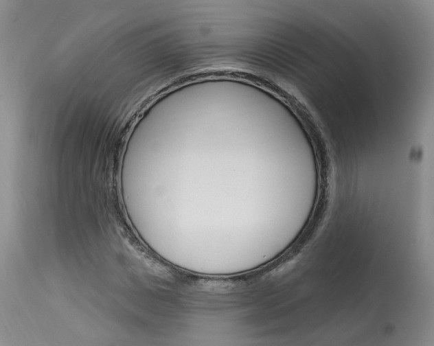 X0000114020825200910021014