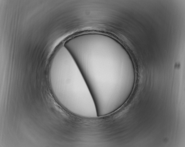X0000114020830200910021014