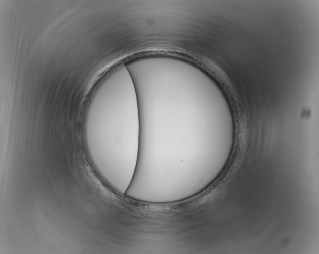 X0000114020831200910021014