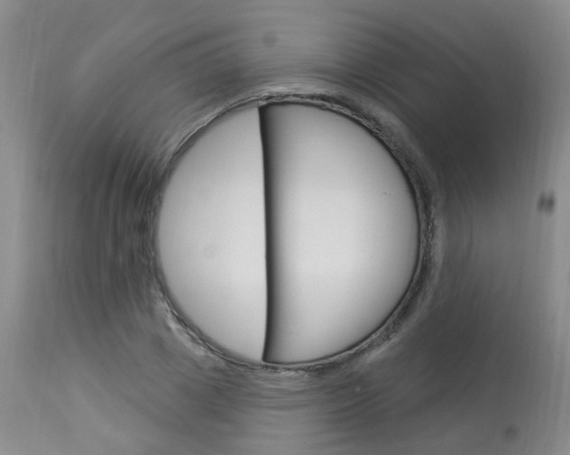 X0000114020833200910021014