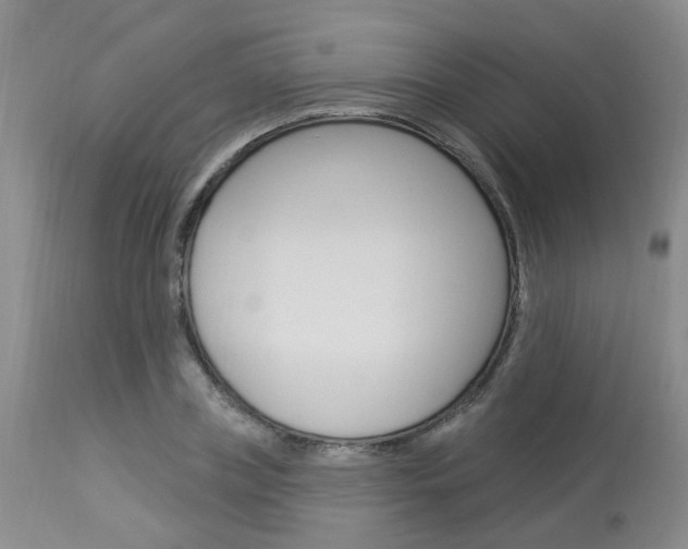 X0000114020835200910021014