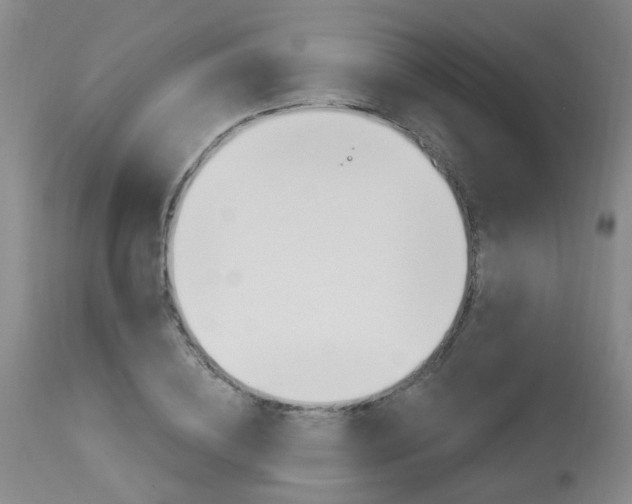 X0000114020836200910021014