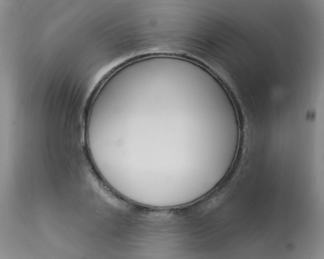X0000114020838200910021014