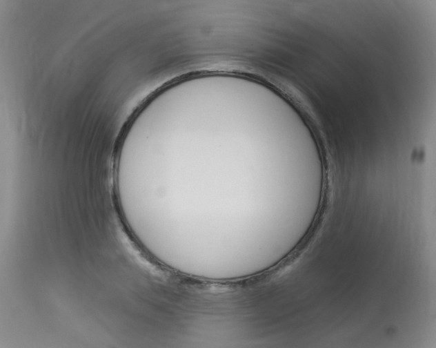 X0000114020839200910021014