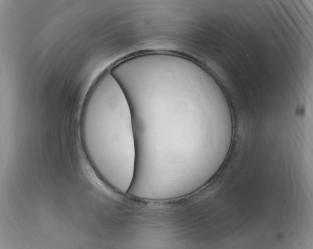 X0000114020840200910021014