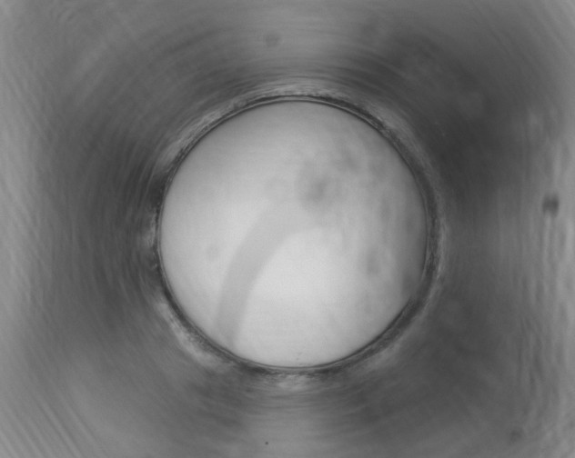 X0000114020841200910021014